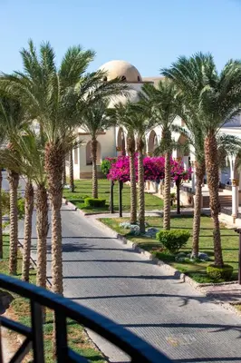 a walkway lined with palm trees in front of a building at Palm Beach Piazza Sahl Hasheesh One bedroom apartment A 401 by Peaks in Sahl Hasheesh