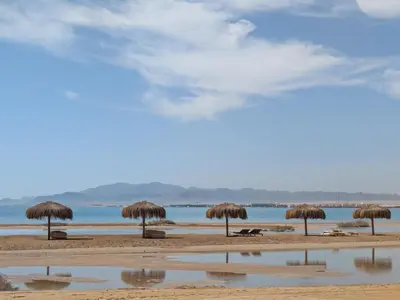 a group of straw umbrellas on a beach at Beachfront Somabay Cabana Steps From Sea & Pool in Hurghada