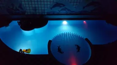 a pool of water with a ball and fish in it at Sheraton Plaza Hurghada in Hurghada