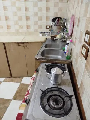 a kitchen with a sink and a stove top oven at Luna Nile in Aswan