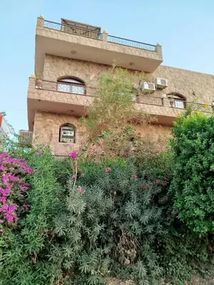 a building with a bunch of plants in front of it at Luna Nile in Aswan