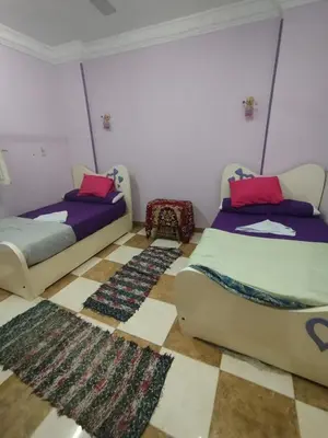 two beds in a room with two rugs at Luna Nile in Aswan