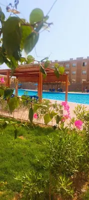 a swimming pool with a pavilion and pink flowers at Bay view in Hurghada