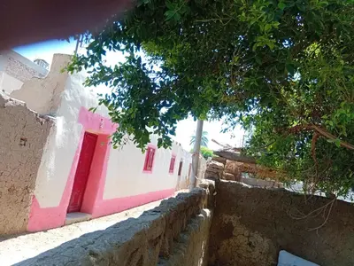 a view of a building with a tree at Mountain guest house in Luxor