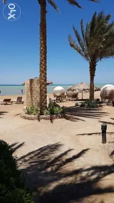 a beach with palm trees and umbrellas and the ocean at الغردقه قرية بالما ريزورت in Hurghada