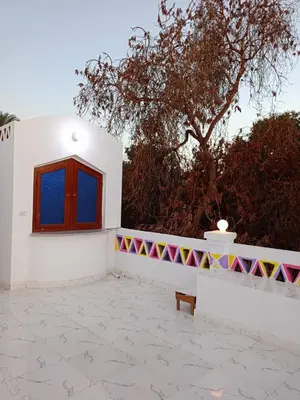 a white building with a bench and a tree at Reagan House in Aswan