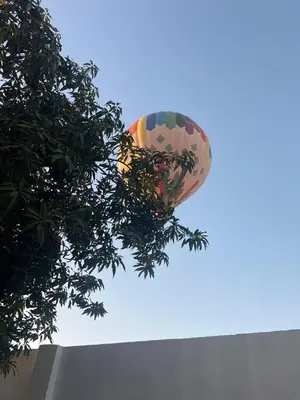 a hot air balloon in the sky above a tree at Muhammad Ali house in Luxor
