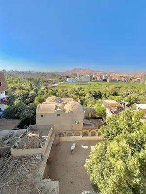 a bird standing on top of a building at Muhammad Ali house in Luxor