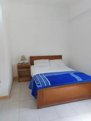 a bedroom with a bed with a blue blanket on it at Blue Sky Apartments & Restaurant in Luxor
