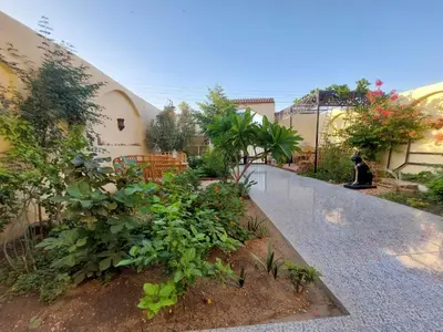 a cat sitting next to a garden with plants at Carter Guesthouse Luxor 5 in ‘Ezbet Abu Ḥabashi