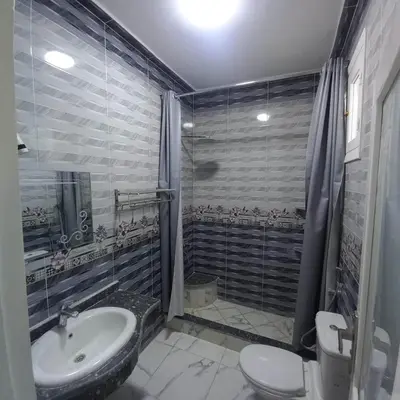 a bathroom with a sink and a toilet and a shower at Villa Nicole in Luxor