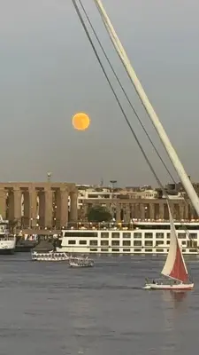 a small sail boat in the water under a bridge at Luxor temple view in Luxor