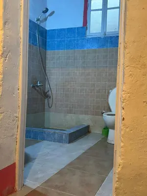 a bathroom with a shower and a toilet at Mountain house retreat in Al Aqālitah