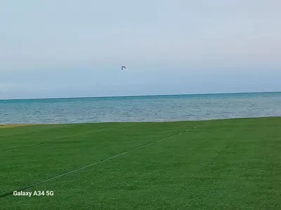 a green field with the ocean in the background at Fanadir Bay in Hurghada