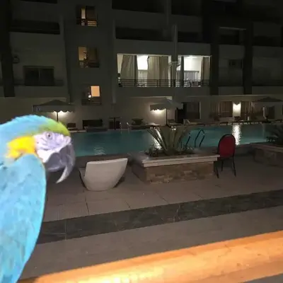El Hambra Compound