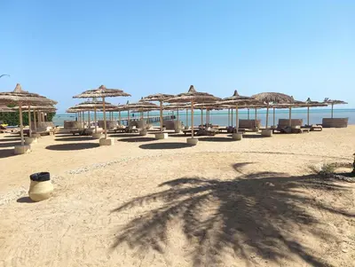 a group of beach chairs and umbrellas on the beach at Royal Beach Resort in Hurghada