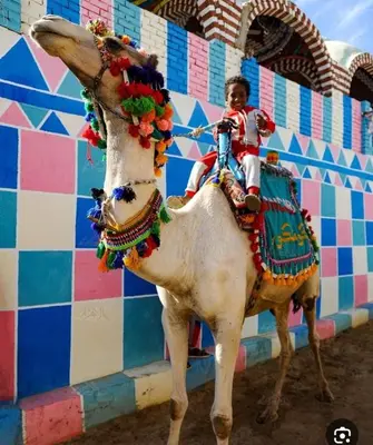 a child riding on the back of a fake cow at Arman House in Aswan
