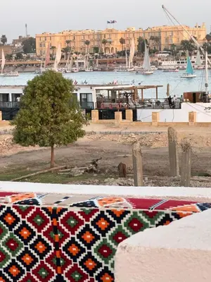 a beach with a tree and a body of water at Morsy Palace in Luxor