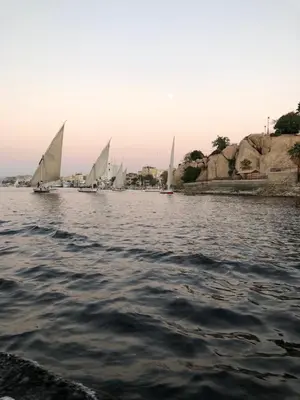 a group of sailboats on a body of water at Dahabiya Nile Cruise in Luxor