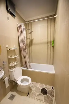 a bathroom with a toilet and a shower and a sink at Oscar Apartment 2 in Luxor