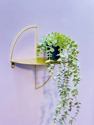 a glass shelf with a plant on it with a mirror at Azure horizon,Karma Aqua beach resort,Hurghada in Hurghada