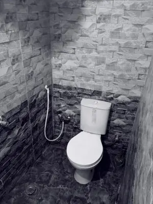 a bathroom with a toilet in a stone wall at Sun Rise House Luxor in Al Aqālitah