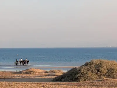 two people are riding horses on the beach at Beachy Pool side Mesca Cabana Somabay Steps to Sea in Hurghada