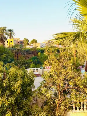 a view of a garden with trees and buildings at Luxor Old nile apartment in Luxor