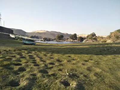 a boat sitting in a field next to a river at Seheil Antique House in Jazīrat Salūjah