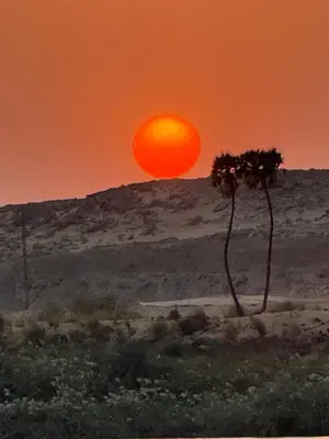 a sunset in the desert with two palm trees at Nile SE Felucca nile cruise private tour in Naj‘ al ‘Amrāb