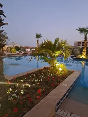 a large swimming pool with flowers and palm trees at Alday gorizont in Hurghada