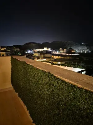 a hedge on the roof of a building at night at Alday gorizont in Hurghada