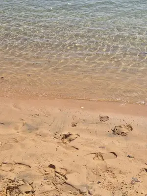 a beach with footprints in the sand and water at Oasya Studio Hurghada in Hurghada