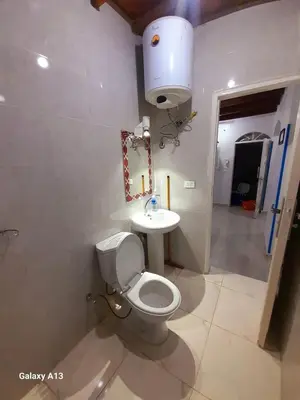 a bathroom with a white toilet and a sink at Nile Flower Guesthouse in Luxor