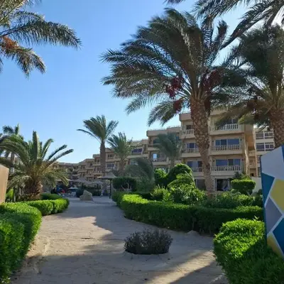 Palma chalet 169
