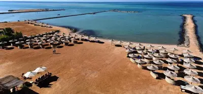 a group of umbrellas on a beach with the ocean at Turtle beach resort in Hurghada