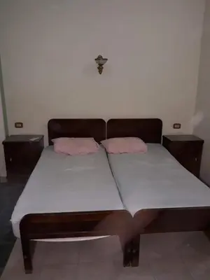 a bed with two pink pillows on top of it at Obelisk house in Luxor
