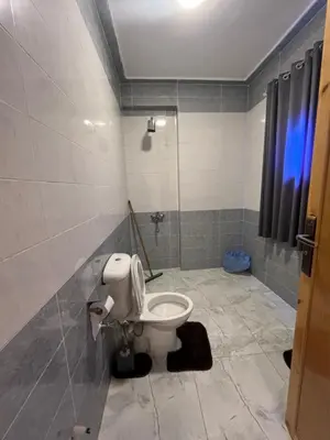 a bathroom with a toilet and a shower at Lokanda lodge&Apartments in Luxor