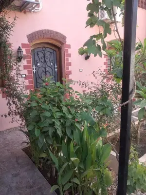 a door of a pink building with a plant in front at The Nile Dome Garden Suite in Luxor