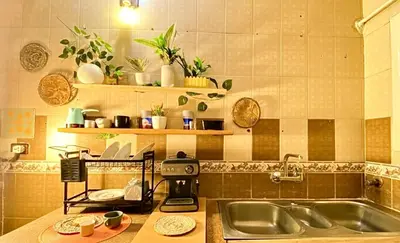 a kitchen with a sink and a counter with plants at Jme Bunks Hostel in Aswān
