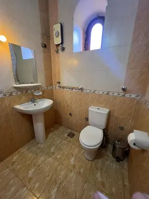 a bathroom with a toilet and a sink at Yuhan's Bed & Breakfast in Al Karnak