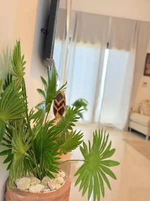 a potted plant sitting on a table in a living room at Two-bedroom apartment in G Cribs in Hurghada