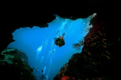 a diver in a cave in the ocean at Hobby live in Hurghada in Hurghada