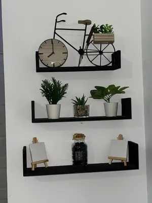 a bicycle clock on a wall with plants at Sherathon studio Pavel in Hurghada