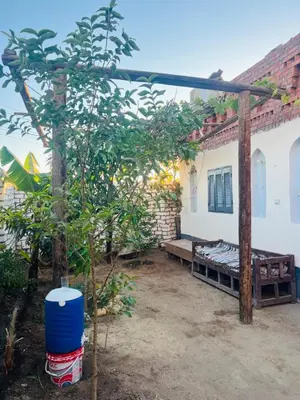 a house with a tree and a blue barrel at Adam Guesthouse in Al Kawāmil Qiblī