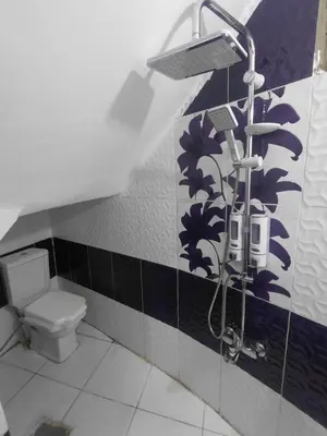a bathroom with a shower and a toilet at moon guest house in Jazīrat Aswān