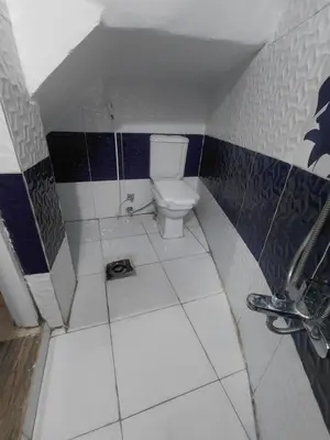 a bathroom with a toilet and blue and white tiles at moon guest house in Jazīrat Aswān