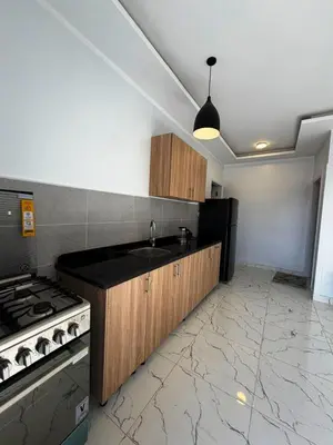 a kitchen with a sink and a stove in it at Al Baba II Nile Villa in Luxor