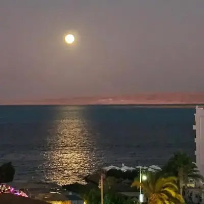 ROOF TOP 12 Seaview