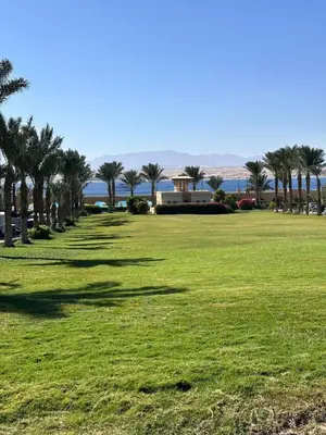 a park with palm trees and the ocean in the background at Luxury apartment- Sahl Hasheesh- Gravity Hotel in Hurghada